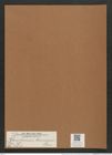 Rhaphoneis fluminensis Grun. (de-Toni-Nr.: Genus 78, Species 2815) Zeichnungen Sammlung Grunow Mappe 02993 (Herbarium_W_Grunow_drawings_Folder_02993)